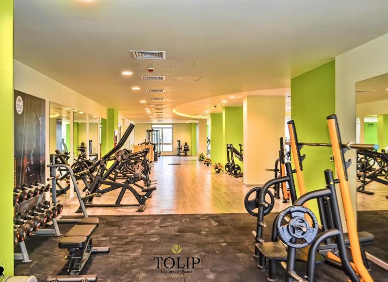 Tolip El Forsan Hotel Ismailia Exterior photo The gym at Tulip Inn